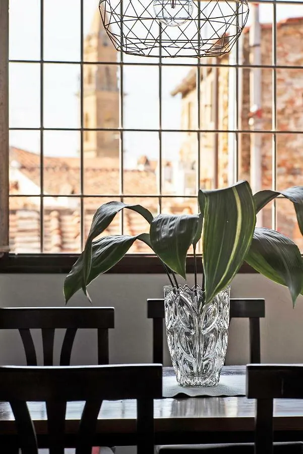 Very Special+Views In Front Of Pitti Palace&Garden Florence 0*,